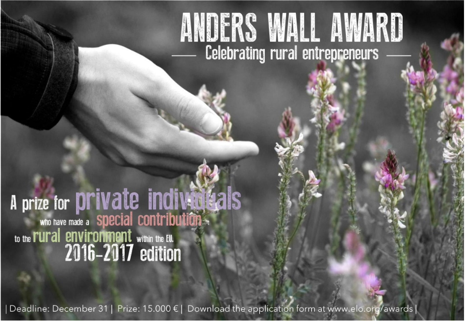 Anders Wall