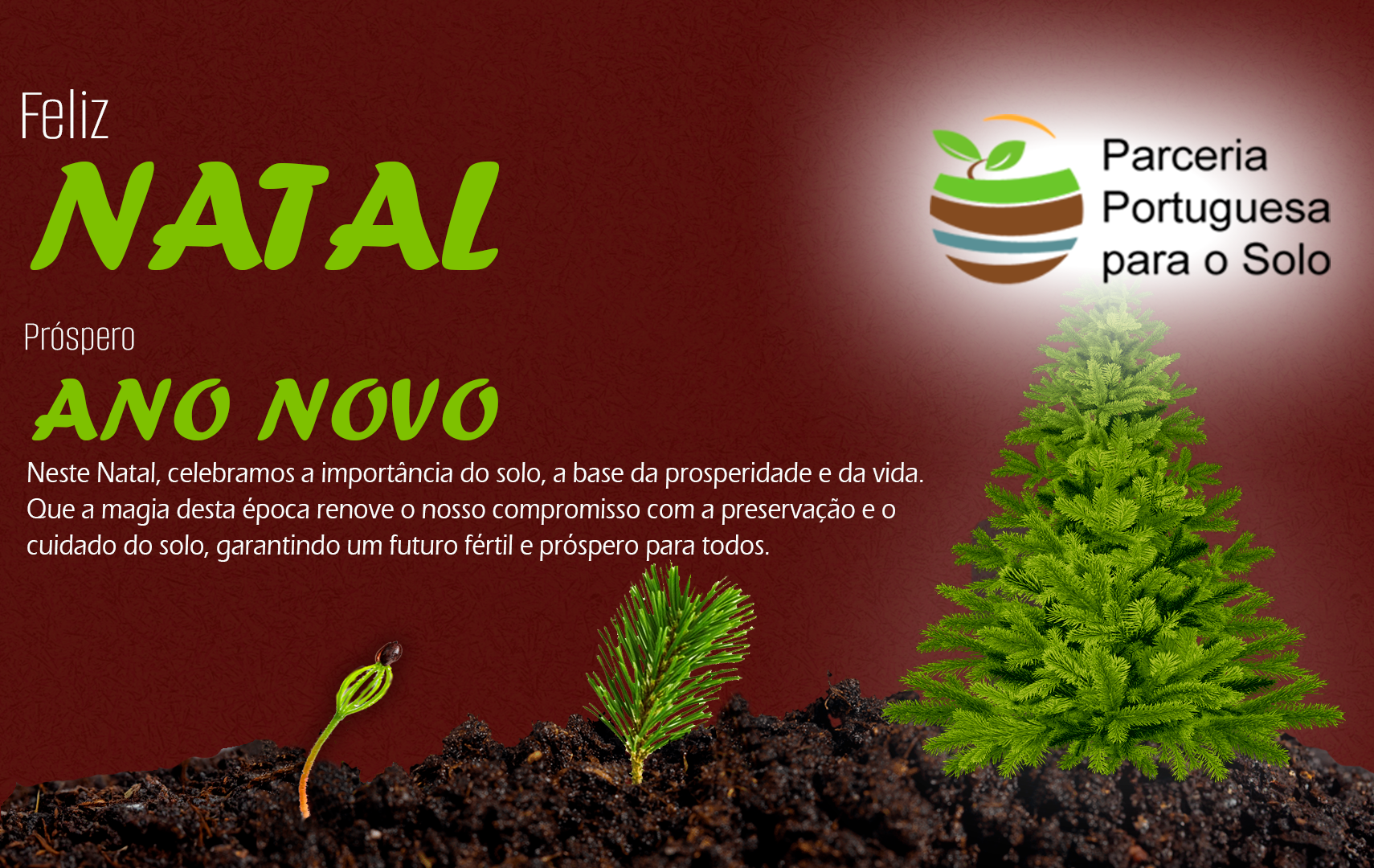BOASFESTAS PPS