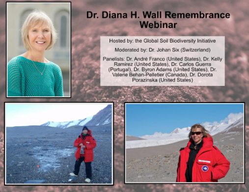 Dr_diana_h_wall.png