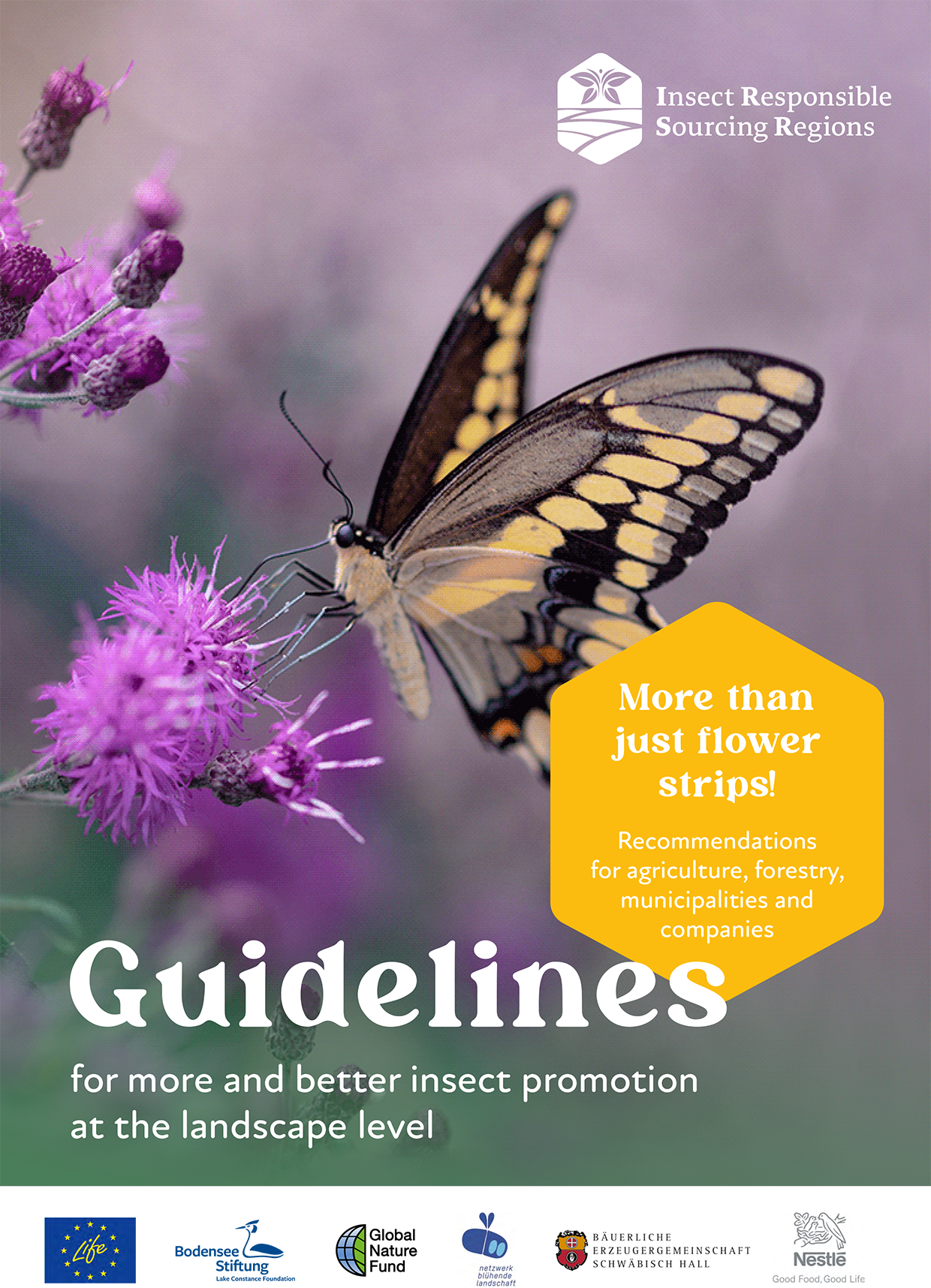 IRSR Guidelines EN 1