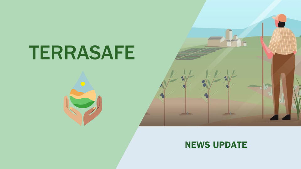 Terrasafe email header news update