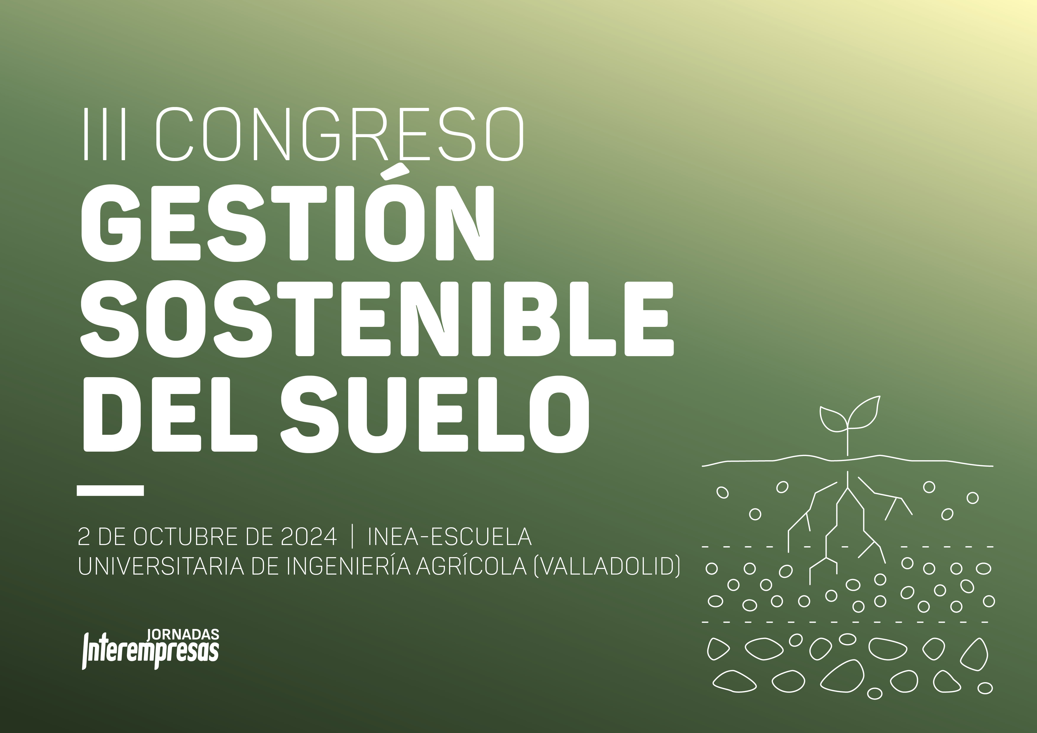 Valladolid congresso solo