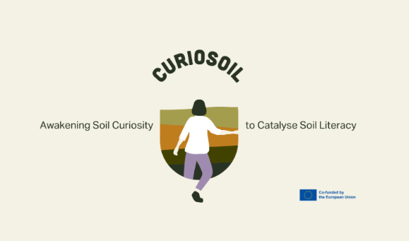 curiosoil