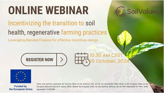 webinar solo
