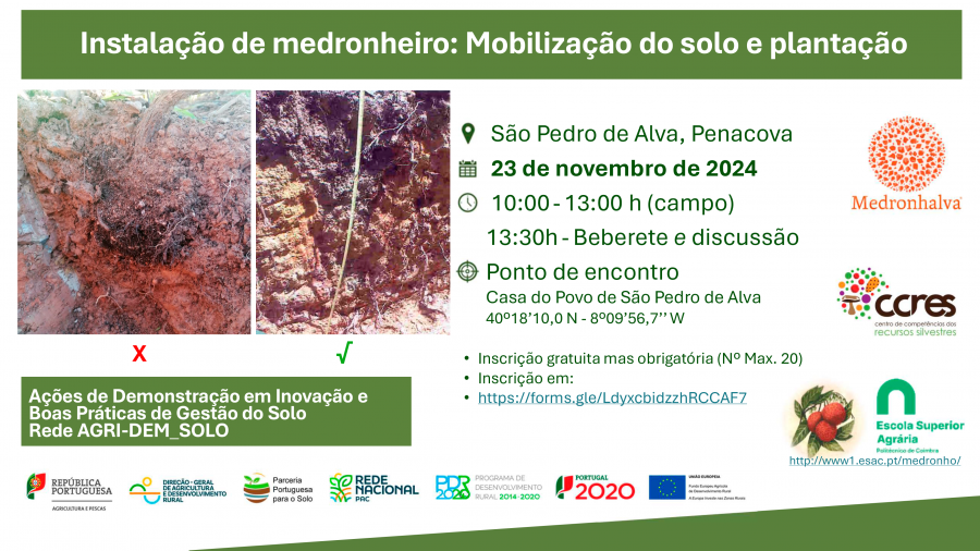 Divulgacao_Acao Demonstracao_2_Instalacao-Medronhalva