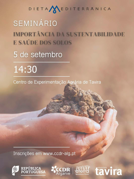 DM_seminario
