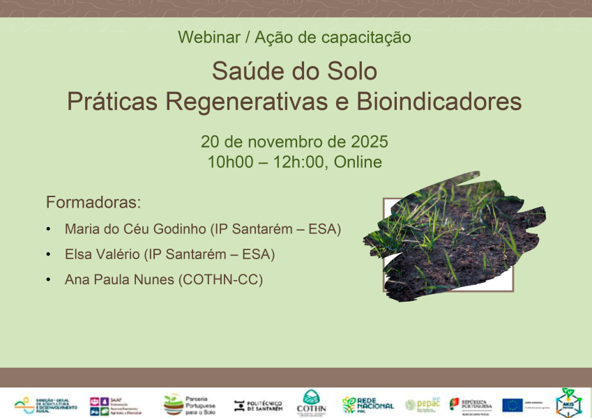 Webinar solo - cartaz
