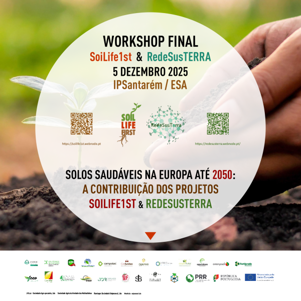 workshop_PRR_SL1RedeSusterra__dia_do_solo_2025-1