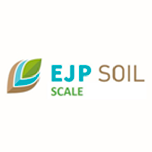 SCALE