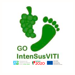 INTENSUSVITI