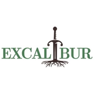 EXCALIBUR