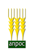 anpoc