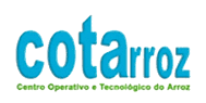 cotarroz