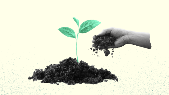 soil card